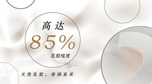 1556158566367370.jpg 夢(mèng)神乳膠.jpg